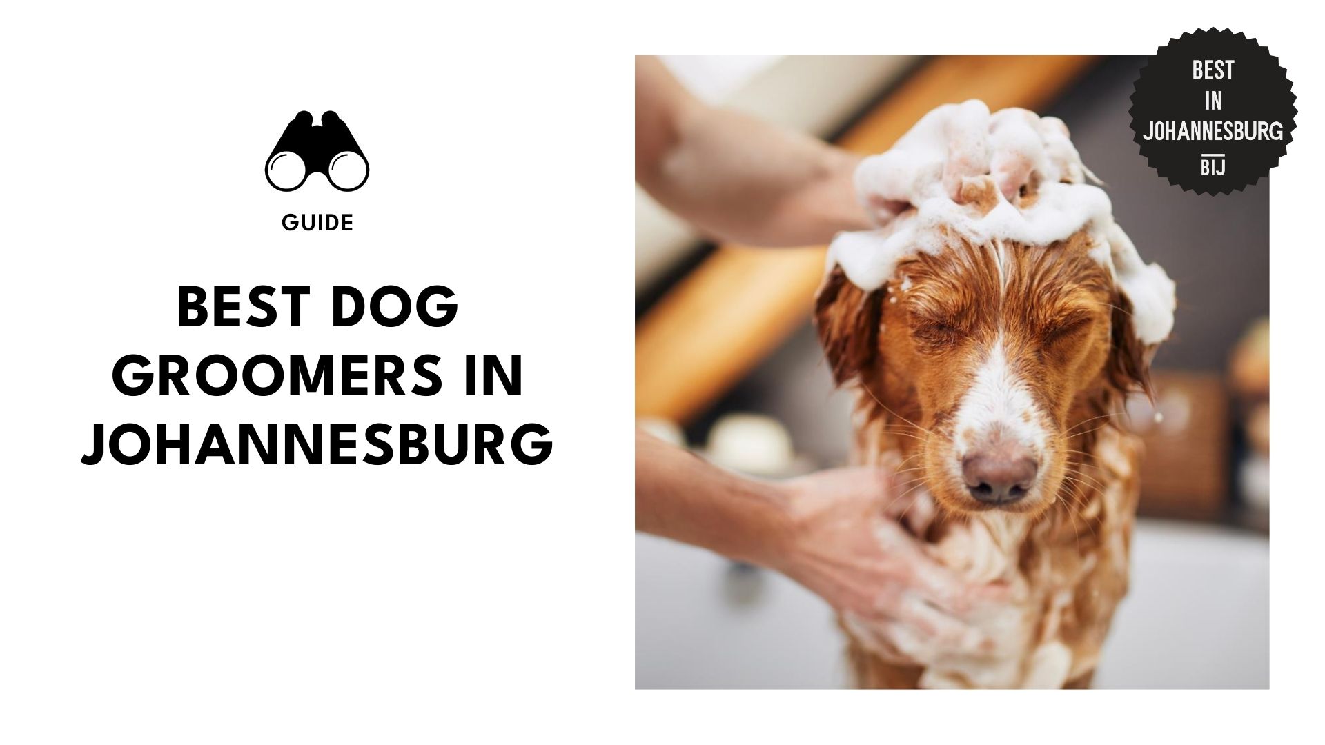 best-dog-groomers-johannesburg-banner